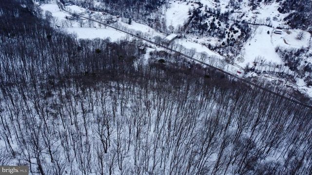 CUBBAGE HOLLOW RD, LOT 75 - 40.55 ACRES, Stanley, VA 22851