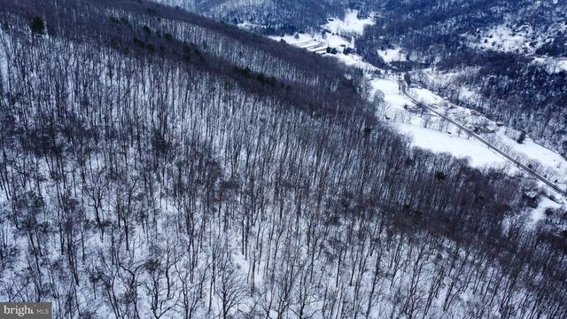 CUBBAGE HOLLOW RD, LOT 75 - 40.55 ACRES, Stanley, VA 22851