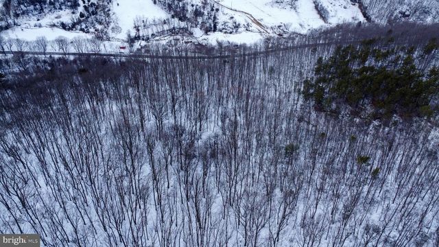 CUBBAGE HOLLOW RD, LOT 75 - 40.55 ACRES, Stanley, VA 22851