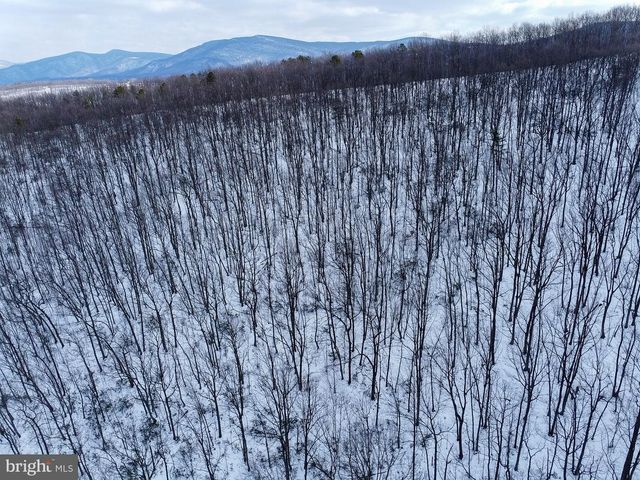 CUBBAGE HOLLOW RD, LOT 75 - 40.55 ACRES, Stanley, VA 22851