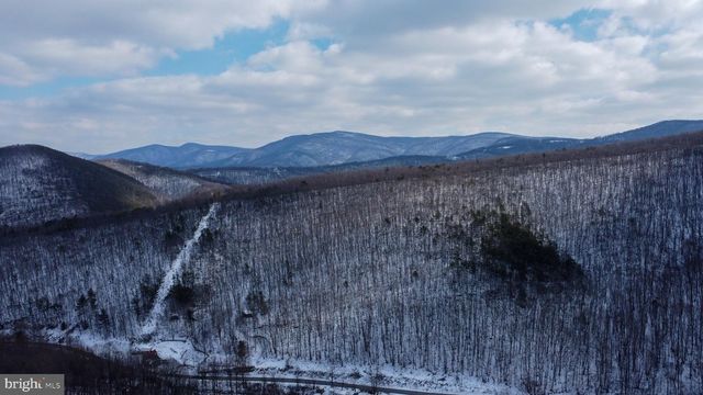 CUBBAGE HOLLOW RD, LOT 75 - 40.55 ACRES, Stanley, VA 22851