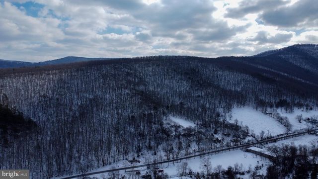 CUBBAGE HOLLOW RD, LOT 75 - 40.55 ACRES, Stanley, VA 22851