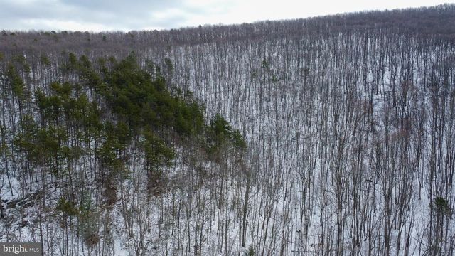 CUBBAGE HOLLOW RD, LOT 75 - 40.55 ACRES, Stanley, VA 22851