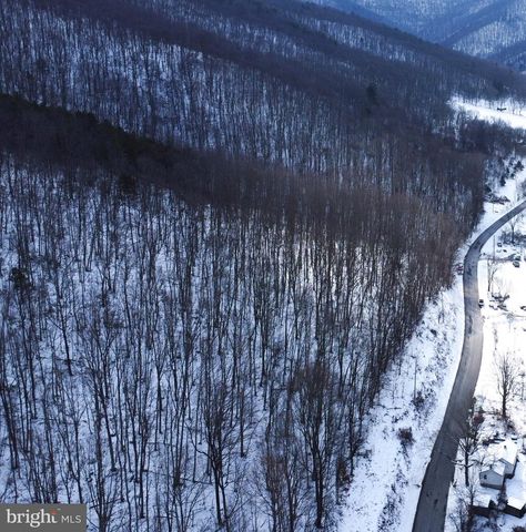 CUBBAGE HOLLOW RD, LOT 75 - 40.55 ACRES, Stanley, VA 22851