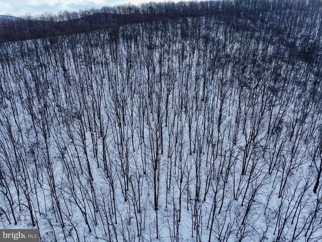 CUBBAGE HOLLOW RD, LOT 75 - 40.55 ACRES, Stanley, VA 22851