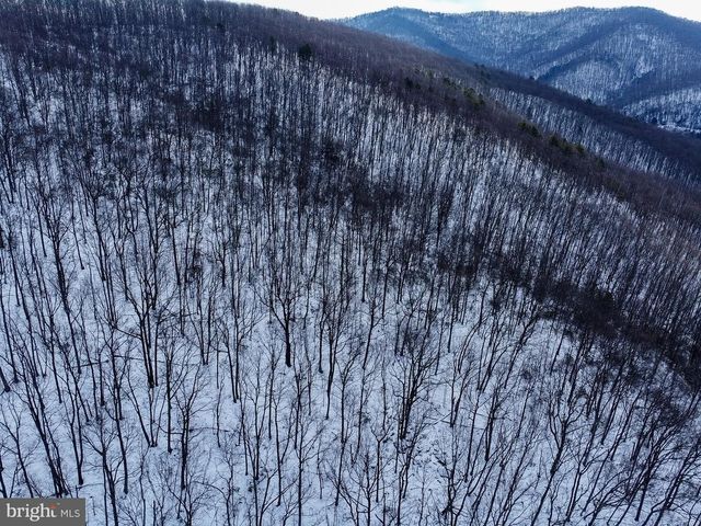 CUBBAGE HOLLOW RD, LOT 75 - 40.55 ACRES, Stanley, VA 22851