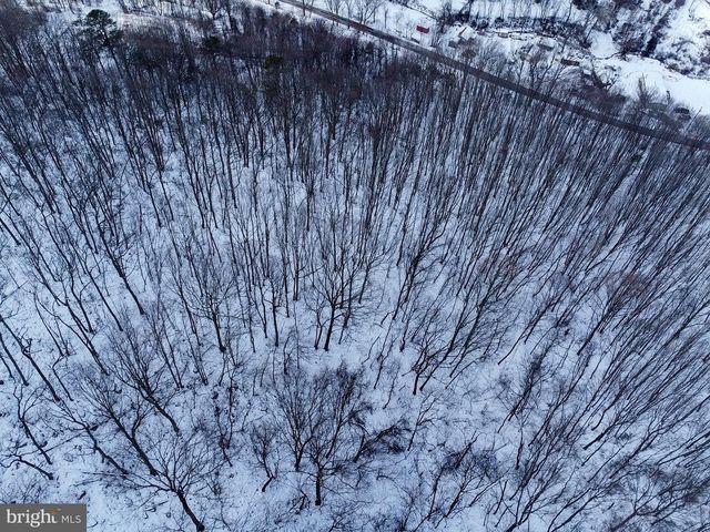 CUBBAGE HOLLOW RD, LOT 75 - 40.55 ACRES, Stanley, VA 22851