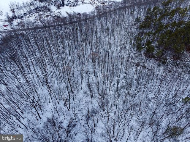 CUBBAGE HOLLOW RD, LOT 75 - 40.55 ACRES, Stanley, VA 22851