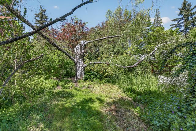 324 Liberty Street, Ashland, OR 97520