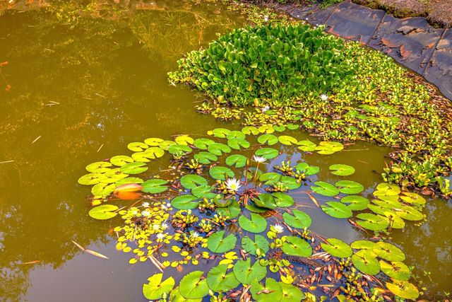 620 Awalau Rd, Haiku, HI 96708