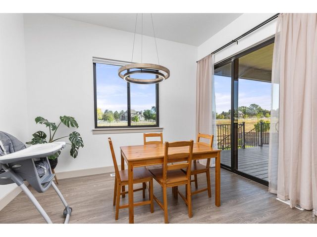 266 Blue Fortune Dr, Windsor, CO 80550