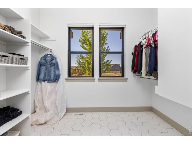 266 Blue Fortune Dr, Windsor, CO 80550