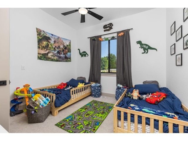 266 Blue Fortune Dr, Windsor, CO 80550