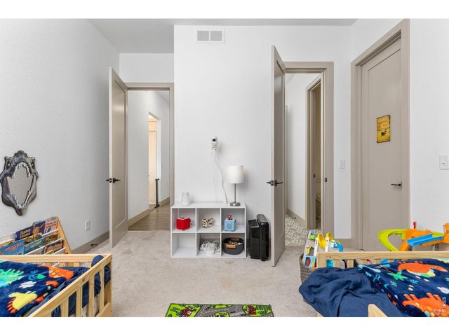 266 Blue Fortune Dr, Windsor, CO 80550