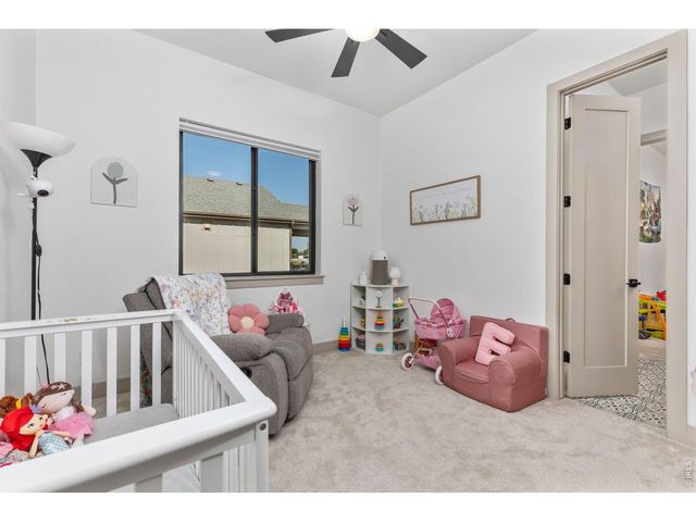 266 Blue Fortune Dr, Windsor, CO 80550
