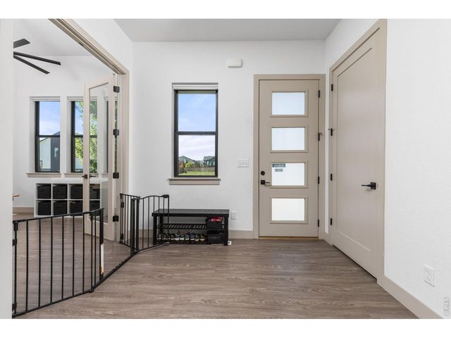 266 Blue Fortune Dr, Windsor, CO 80550