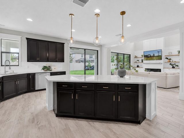 12354 LYON PINE LANE, Odessa, FL 33556