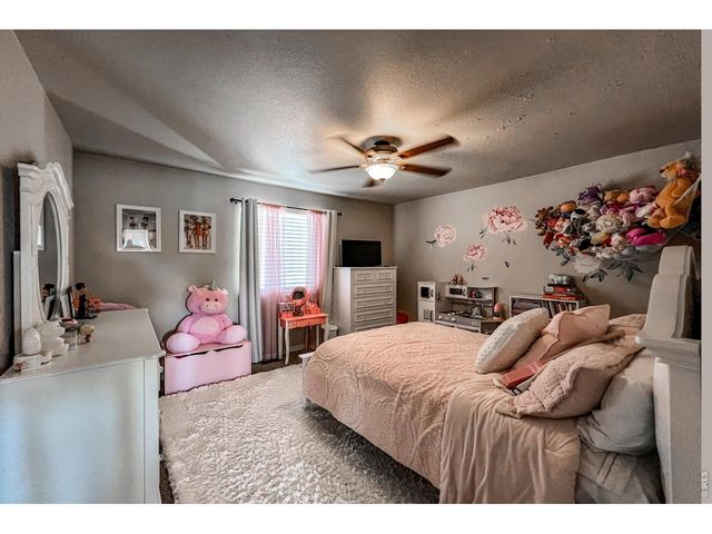 6834 Blue Spruce St, Frederick, CO 80530