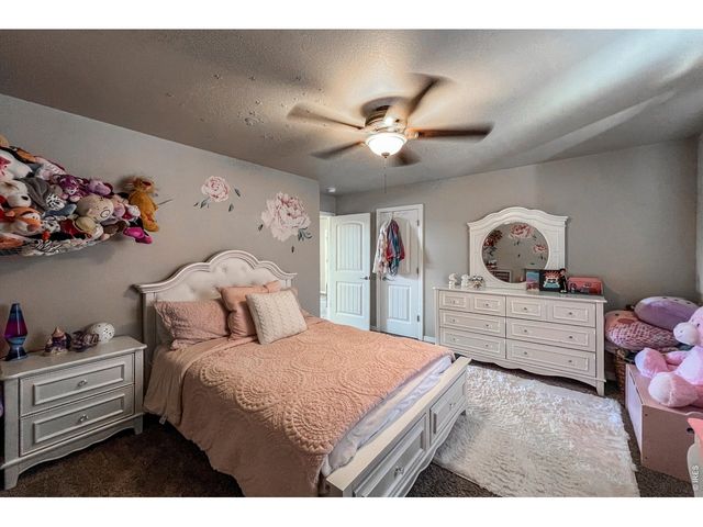 6834 Blue Spruce St, Frederick, CO 80530