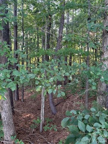 Lot 2 Mathis Church Road, Catawba, NC 28609
