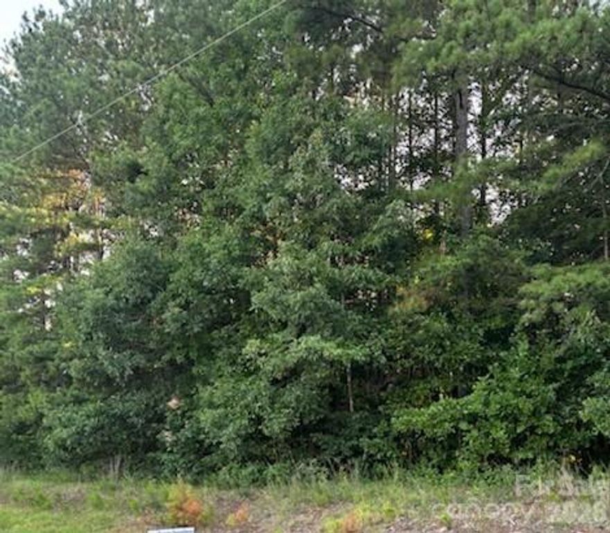 Lot 2 Mathis Church Road, Catawba, NC 28609