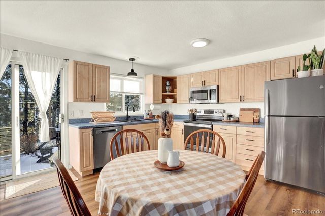 11016 Brownstone Drive, Parker, CO 80138