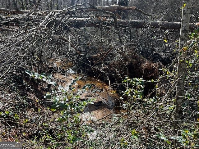 133 Hillandale Street, Cornelia, GA 30531