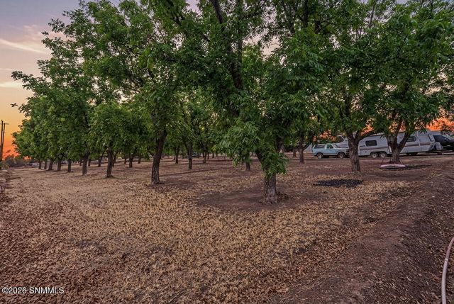 4260 Egyptian Street, Las Cruces, NM 88005