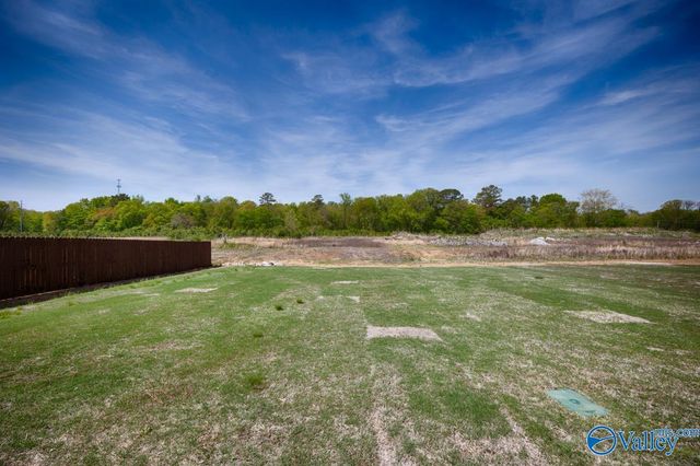 16521 Hamilton Place, Athens, AL 35613
