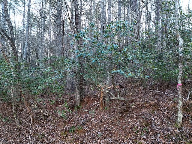 Lot 1 Papas Mountain Road, Blairsville, GA 30512