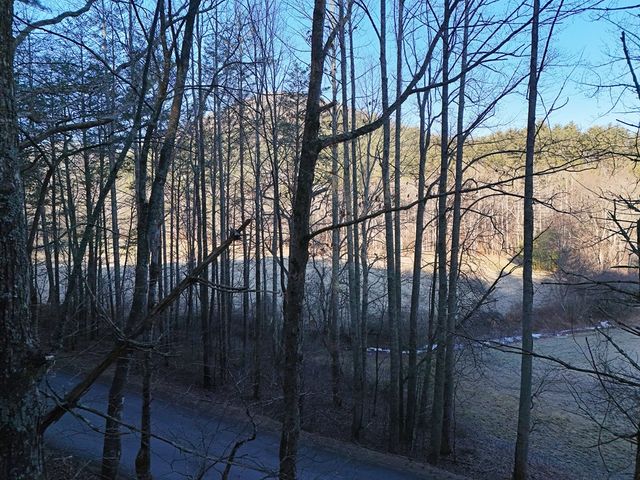 Lot 1 Papas Mountain Road, Blairsville, GA 30512
