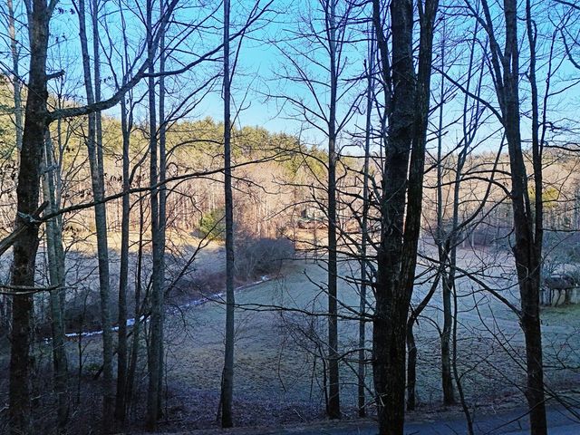 Lot 1 Papas Mountain Road, Blairsville, GA 30512