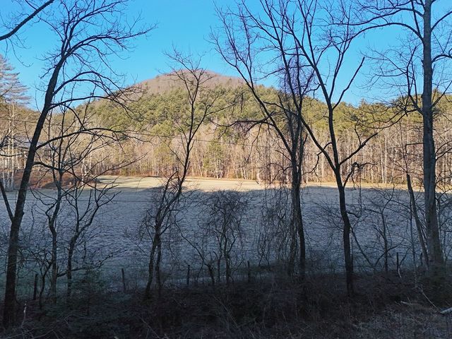Lot 1 Papas Mountain Road, Blairsville, GA 30512