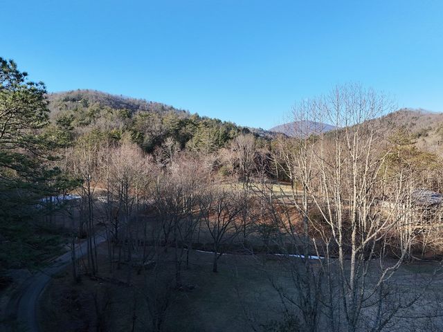 Lot 1 Papas Mountain Road, Blairsville, GA 30512