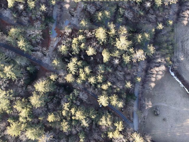 Lot 1 Papas Mountain Road, Blairsville, GA 30512