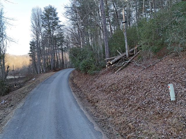 Lot 1 Papas Mountain Road, Blairsville, GA 30512