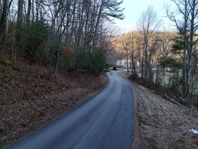 Lot 1 Papas Mountain Road, Blairsville, GA 30512