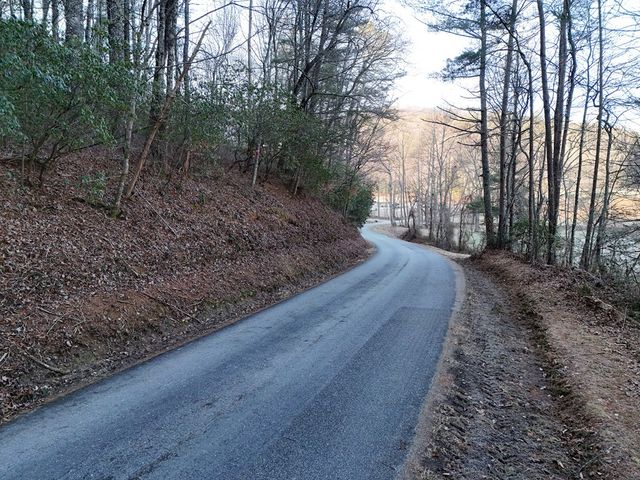 Lot 1 Papas Mountain Road, Blairsville, GA 30512