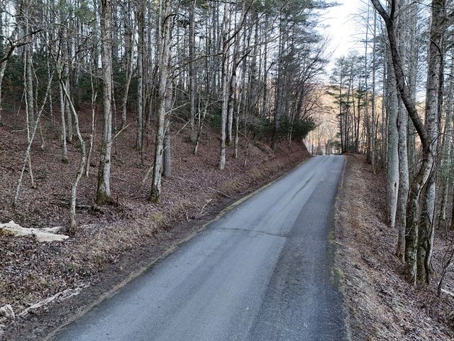 Lot 1 Papas Mountain Road, Blairsville, GA 30512