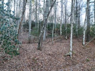 Lot 1 Papas Mountain Road, Blairsville, GA 30512