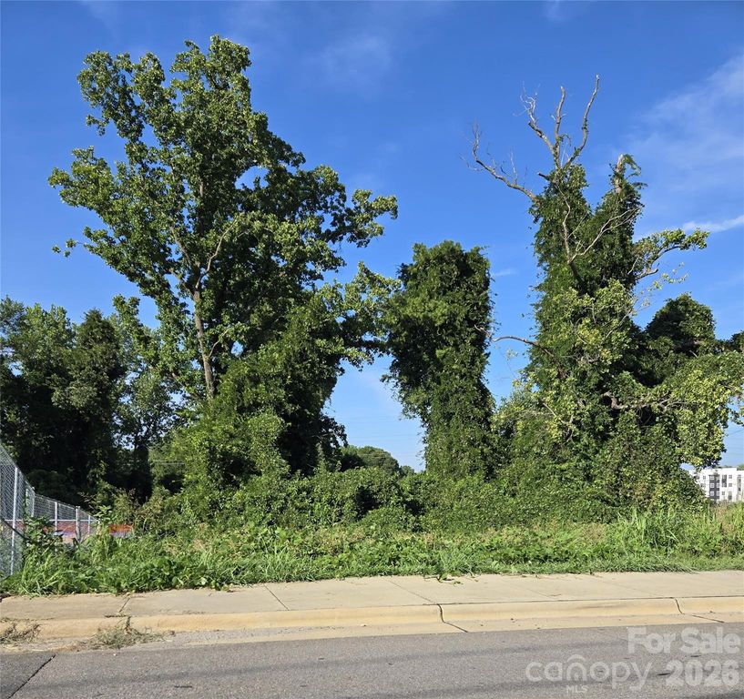 204 W 28th Street, Charlotte, NC 28206