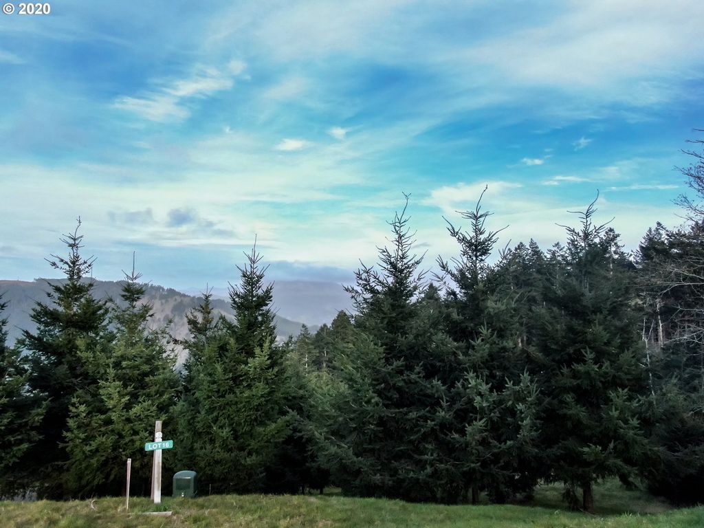 98034 CROWN TERRACE Rd, Brookings, OR 97415