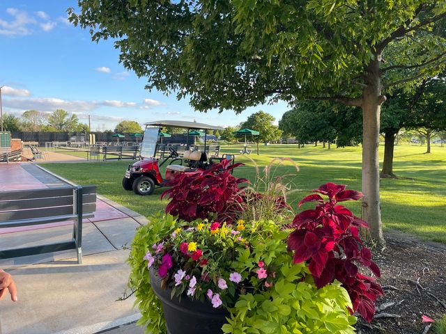 13810 S Magnolia Drive, Plainfield, IL 60544