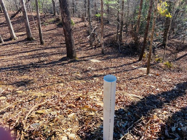 86 Sparks Road, Murphy, NC 28906