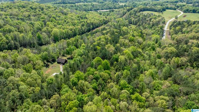 610 SOUTHRIDGE LANE, Talladega, AL 35160