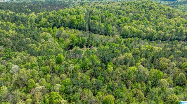 610 SOUTHRIDGE LANE, Talladega, AL 35160
