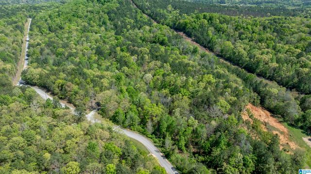 610 SOUTHRIDGE LANE, Talladega, AL 35160