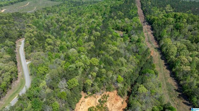610 SOUTHRIDGE LANE, Talladega, AL 35160