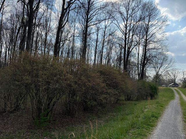 1932 Co Rd 89, Bryant, AL 35958