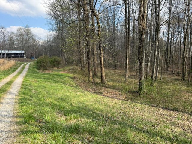 1932 Co Rd 89, Bryant, AL 35958